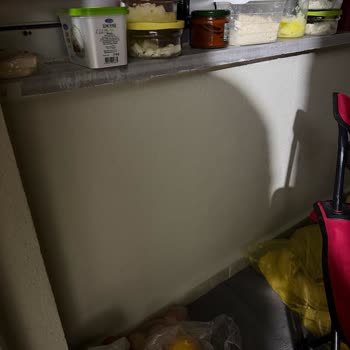 Arçelik Buzdolabı Fan Arızası Ve Kalıcı Koku Sorunu Çözülmedi