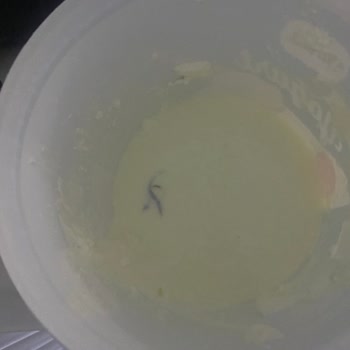 Birşah Tam Kıvamında Yoğurt 3000 G Ürünün İçinden İp Çıkması