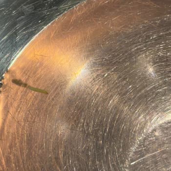 Nespresso Makinesinde Kurt Görüldü: Hijyen Ve Sağlık Sorunu