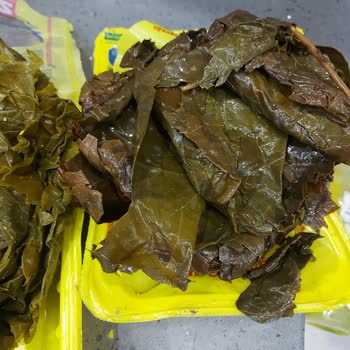 Süresi Geçmiş Ve Küflü Ürün Gönderildi, İade Talebim Reddedildi