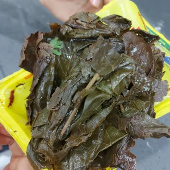 Süresi Geçmiş Ve Küflü Ürün Gönderildi, İade Talebim Reddedildi