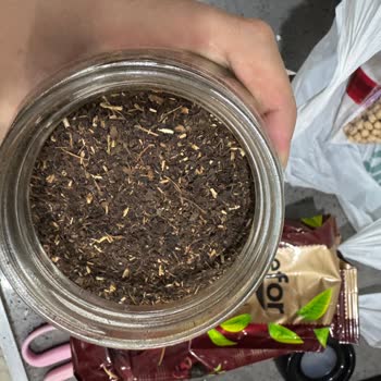 Efor Çay Tiryaki Paketi İçinde Tahta Parçaları Keşfedildi: Gıda Güvenliği Endişesi