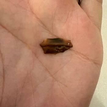 BİM Dost Kakaolu Sütte Plastik Parça Çıktı Çocuklar Risk Altında