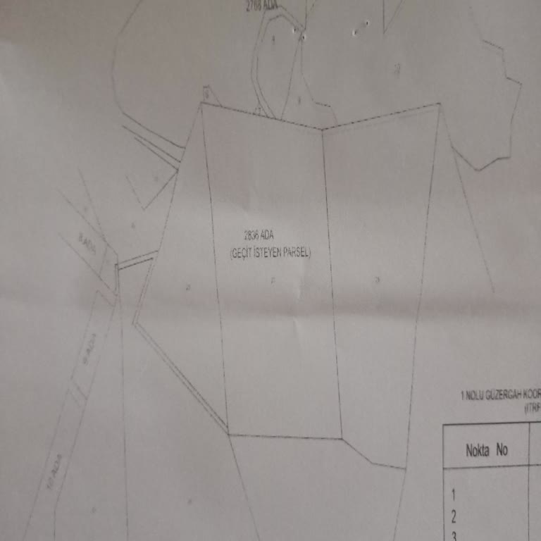 Mirasçıların Tapu Hakları İzinsiz Yol Ve Çit İle İhlal Ediliyor