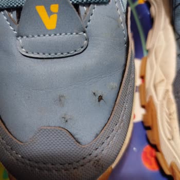 Vicco Botunda Hızlı Çatlama Ve Delinme Kalite Sorunu