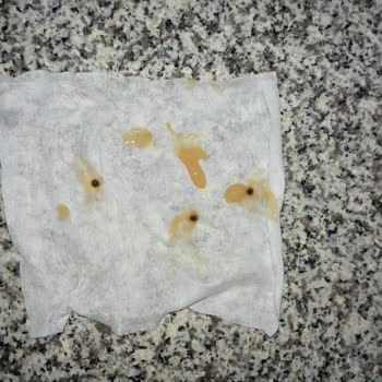 Küflü Bebek Püresi: Güvenimiz Sarsıldı