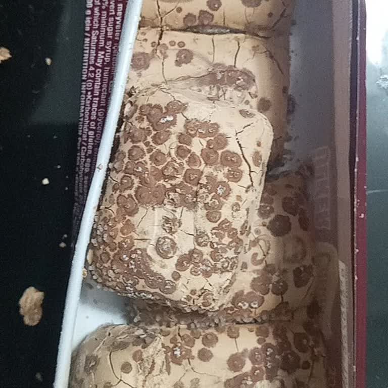 Ülker Caramio Çikolatasında Küf Sorunu: Çocuk Sağlığı Tehlikede