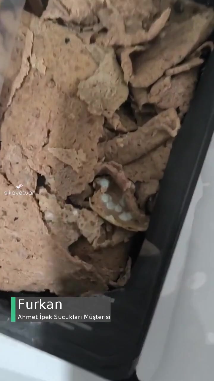 Ahmet İpek Sucukları Küflenmiş Döner! videonun kapak resmi