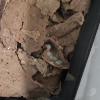 Ahmet İpek Sucukları Küflenmiş Döner!