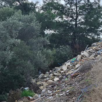 Muğla Büyükşehir Belediyesi Hayvanlar Ve Çöp Sorunları İçin Acil Çözüm Bekleniyor!