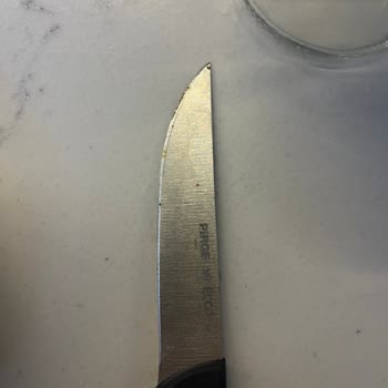 Pirge Şef Baba Bıçak Setinde Hızlı Paslanma Ve Dayanıklılık Sorunu