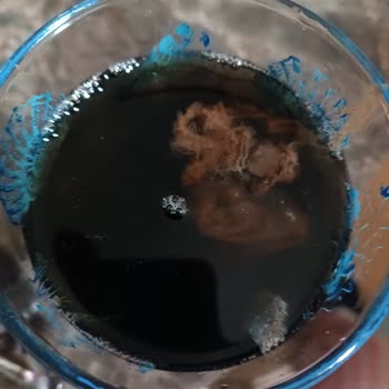 Didi Şeftali Aromalı Ice Tea’da Tanımlanamayan Sümüksü Madde Ve Hijyen Endişesi