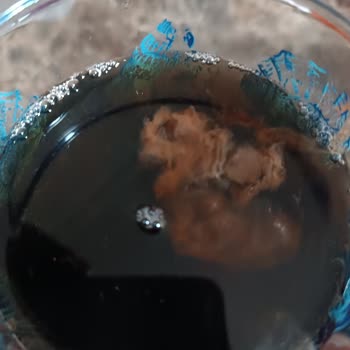 Didi Şeftali Aromalı Ice Tea’da Tanımlanamayan Sümüksü Madde Ve Hijyen Endişesi