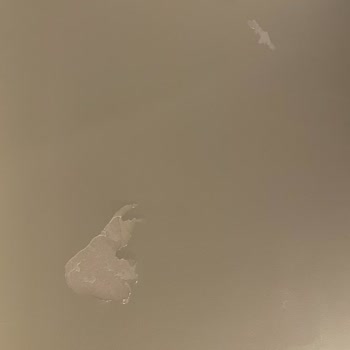 Kids Paperie Kalitesiz Duvar Stickeri Duvarı Mahvetti, Tam İade Ve Tadilat Masrafları Talep Ediyorum