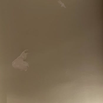 Kids Paperie Kalitesiz Duvar Stickeri Duvarı Mahvetti, Tam İade Ve Tadilat Masrafları Talep Ediyorum