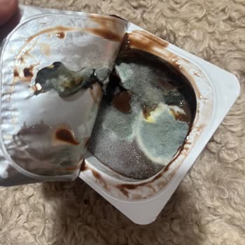 Sütaş Çikolatalı Pudingde Görünür Küflenme Ve Katılaşma