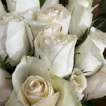 Sipariş Edilen Çiçeklerin Bayat Olması Ve Tam İade Talebi