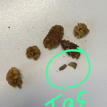 Sert Ve Taşlı Dut Donmuş Bal Karışımı Ve İade Sürecinin Uzaması