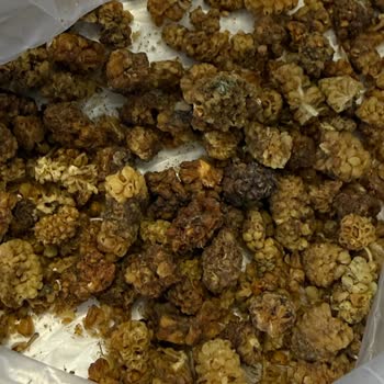 Sert Ve Taşlı Dut Donmuş Bal Karışımı Ve İade Sürecinin Uzaması