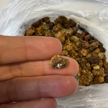 Sert Ve Taşlı Dut Donmuş Bal Karışımı Ve İade Sürecinin Uzaması