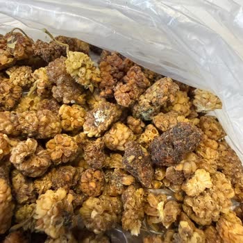 Sert Ve Taşlı Dut Donmuş Bal Karışımı Ve İade Sürecinin Uzaması