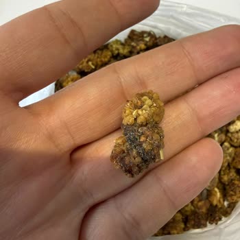 Sert Ve Taşlı Dut Donmuş Bal Karışımı Ve İade Sürecinin Uzaması