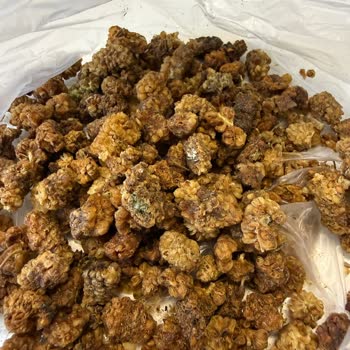 Sert Ve Taşlı Dut Donmuş Bal Karışımı Ve İade Sürecinin Uzaması