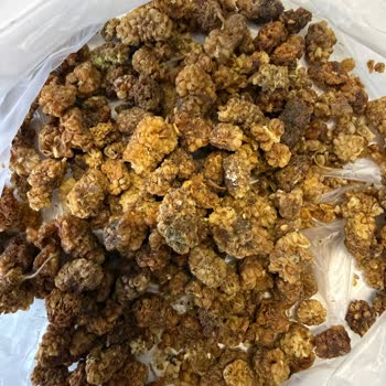 Sert Ve Taşlı Dut Donmuş Bal Karışımı Ve İade Sürecinin Uzaması