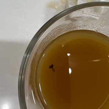 Dooy Meyve Suyunda Böcek: Çocuk Sağlığına Tehdit