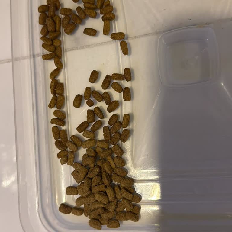 Hepsiburada'da Satın Alınan Kedi Maması Sahte Ve Güvenlik Kilidi Eksik