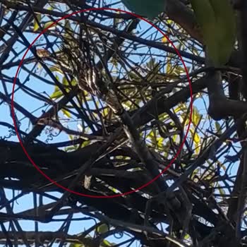 Türk Telekom Maslak Ofisinde Sabit İnternet Kesintisi Ve 12 Gün Süren Çözüm Yokluğu