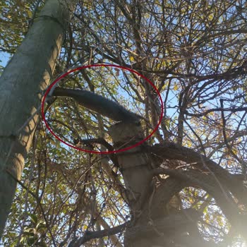 Türk Telekom Maslak Ofisinde Sabit İnternet Kesintisi Ve 12 Gün Süren Çözüm Yokluğu