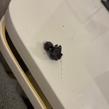 Şok Markette Kahve Dünyası Çikolata Kaplamalı Cranberry Ürününde Kıl Bulunması