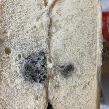 BİM Şubesinde Bozuk Sandviç Ekmeği Ve Ücret İadesi Talebi