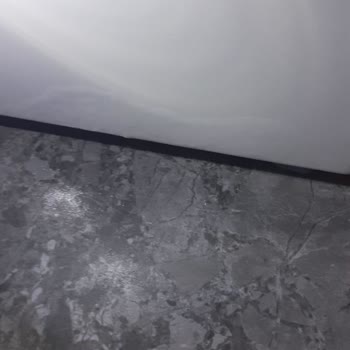 Bosch Çamaşır Makinesi Hareketli, Gürültülü Ve Küflü: Değişim Talebi