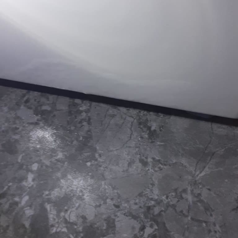 Bosch Çamaşır Makinesi Hareketli, Gürültülü Ve Küflü: Değişim Talebi