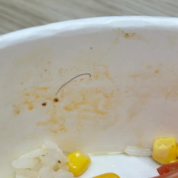 Kıl İçeren Salata: Hijyen Sorunu Ve İade Talebi