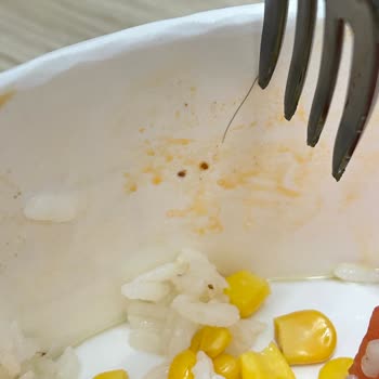 Kıl İçeren Salata: Hijyen Sorunu Ve İade Talebi