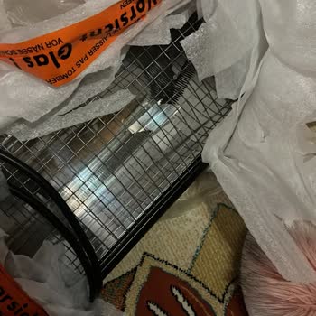 Kırılır Etiketi Olmasına Rağmen PTT Kargosu Ürünü Kapıya Bıraktı Ve 7 Bin TL Zarar Verdi