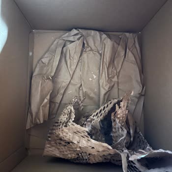 Zara Home'dan Siparişimde 18 Ürün Eksik Ve 1 Ürün Kırık, Müşteri Hizmetleri Yardımcı Olmadı