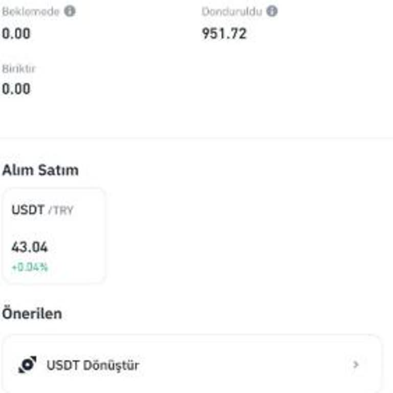 USDT Bakiyem Donduruldu, Destekten Açıklama Ve Hızlı Çözüm Talebi