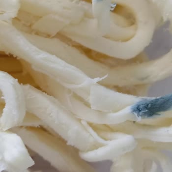 BİM'de Son Kullanma Tarihi Geçmemiş Aknaz Tel Peynir Küflendi