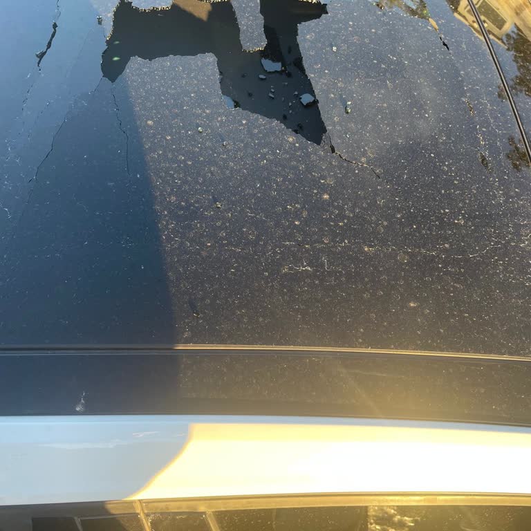 Sunroof Camının Kapsam Dışı Sayılması Üzerine Ankara Sigorta’ya Şikayet