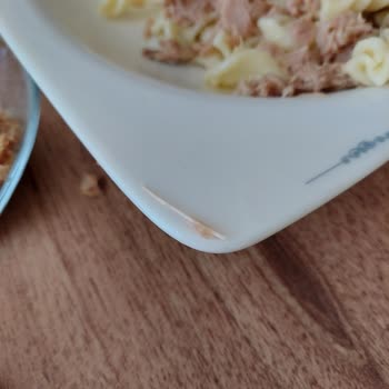 Ton Balığı Konservesinde Kılçık Çıktı: Çocuk Ve Yaşlıları Tehdit Eden Boğulma Riski