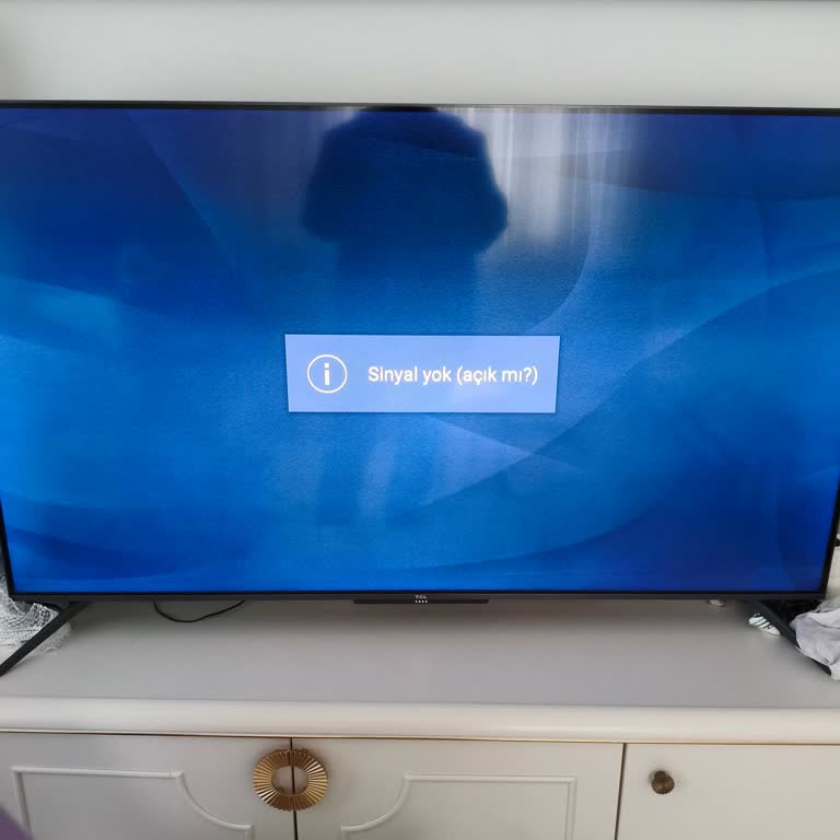 Ayıplı TCL Televizyonunda Sürekli Sinyal Yok Ve Servis Desteği Sağlanmadı