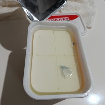 Bahçıvan Süzme Peynirde Küf Ve Sağlık Endişesi