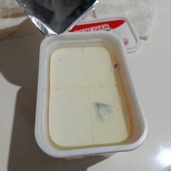 Bahçıvan Süzme Peynirde Küf Ve Sağlık Endişesi