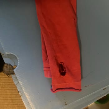 Bosch Çamaşır Makinesi Sürekli Arızalı Kıyafetler Yırtılıyor Ve Su Sızdırıyor