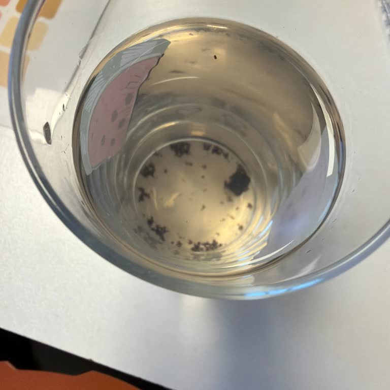 Enginar Suyunda Yosunsu Partiküller Ve Güven Sorunu