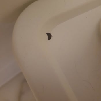 IKEA’da Kargo Gecikmesi Ve Kırık Ürünler Nedeniyle Mağduriyet